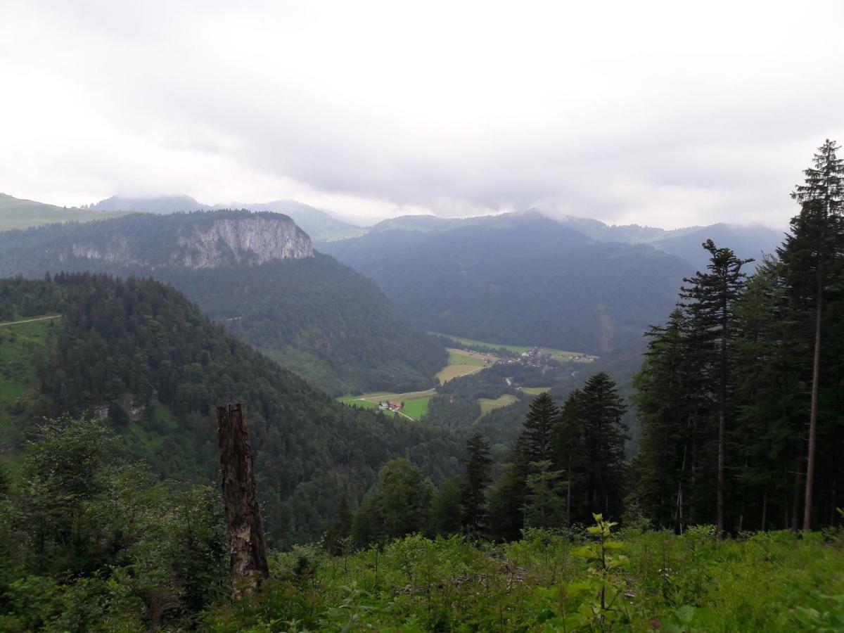 Biobauernhof Hauserbauer Hintersee Exterior photo